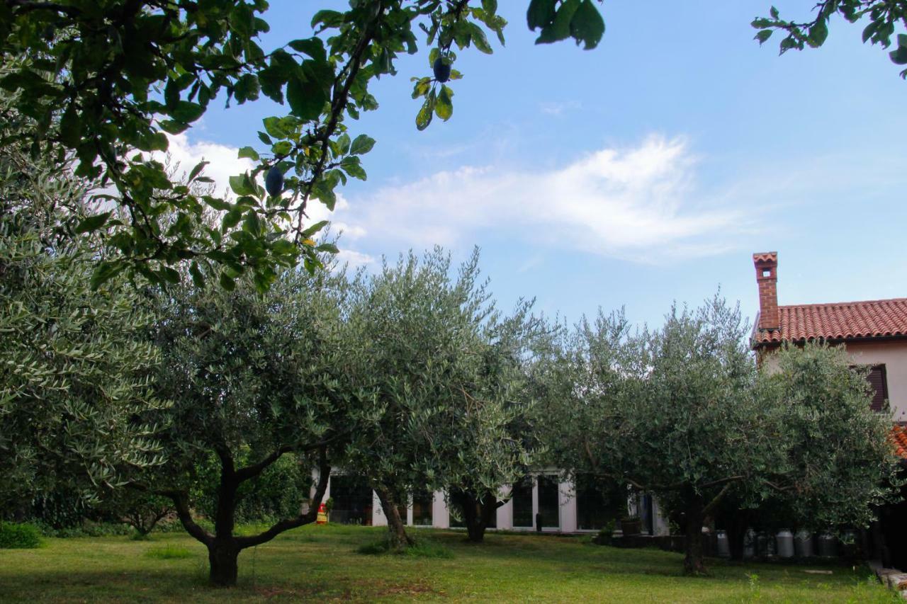 Tourist Farm With Apartments Fig Tree Dekani Dış mekan fotoğraf