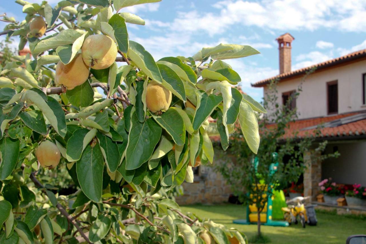 Tourist Farm With Apartments Fig Tree Dekani Dış mekan fotoğraf